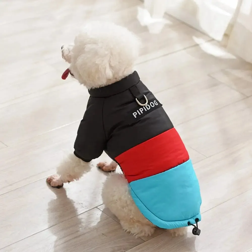 Anniepaw Winter Windproof Dog Down Jacket Color-Blocked Warm Coat for Small Dogs Chihuahua Clothing