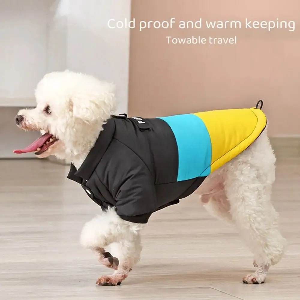 Anniepaw Winter Windproof Dog Down Jacket Color-Blocked Warm Coat for Small Dogs Chihuahua Clothing