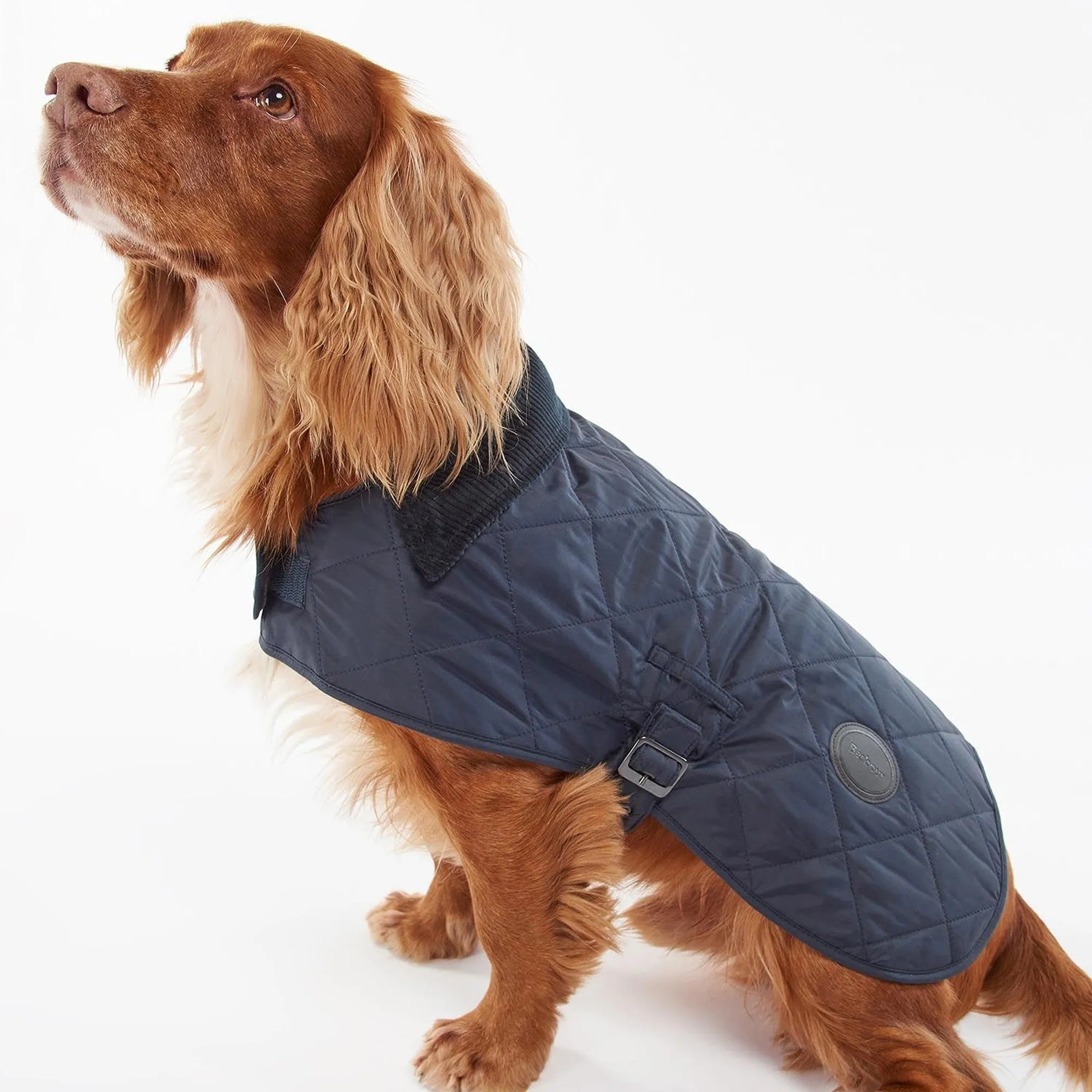 Barbour Quilted Dog Coat - Navy