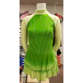 Competition Skating Dress Green Ombre Long Sleeves BSU0104