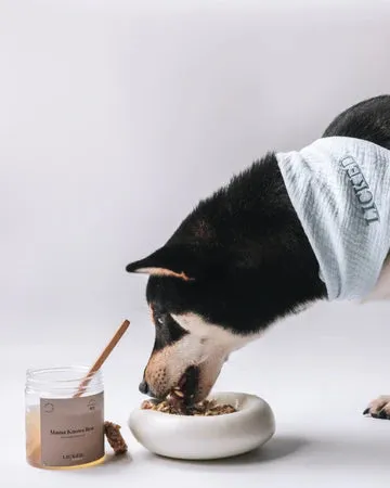 Licked Frozen Bone Broth For Dogs & Cats (Pork)