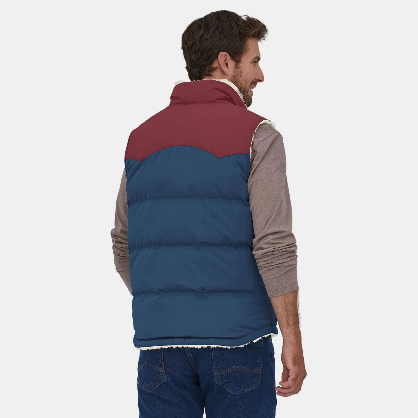 Patagonia Men's Reversible Bivy Down Vest